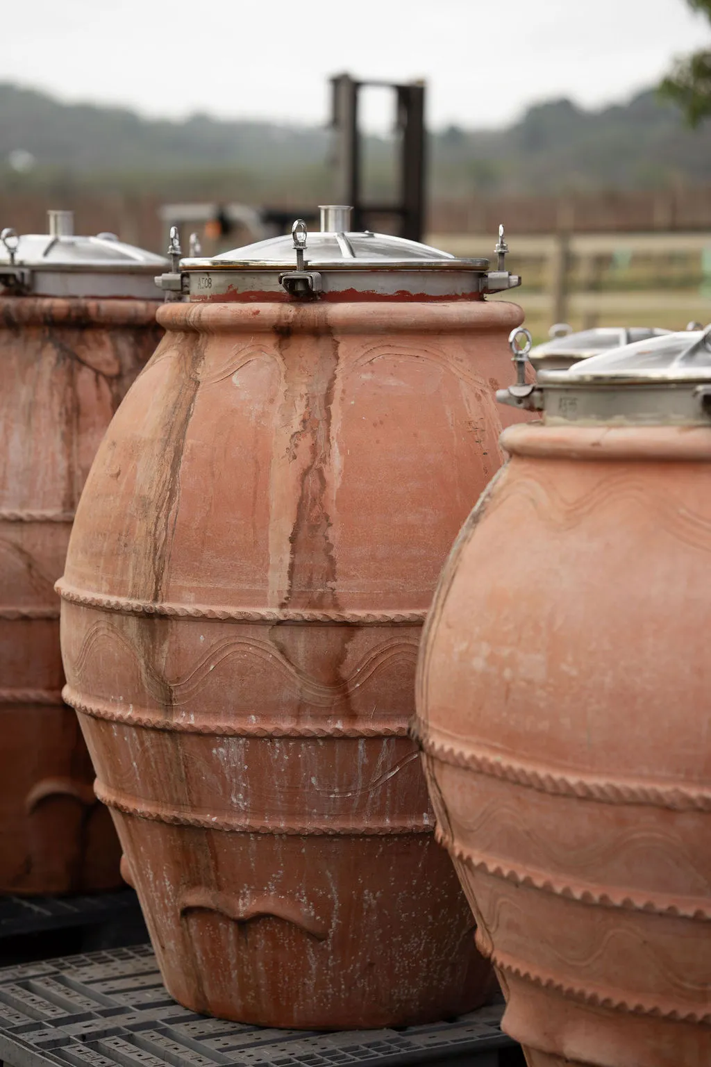 TrofeoEstate Amphora 4